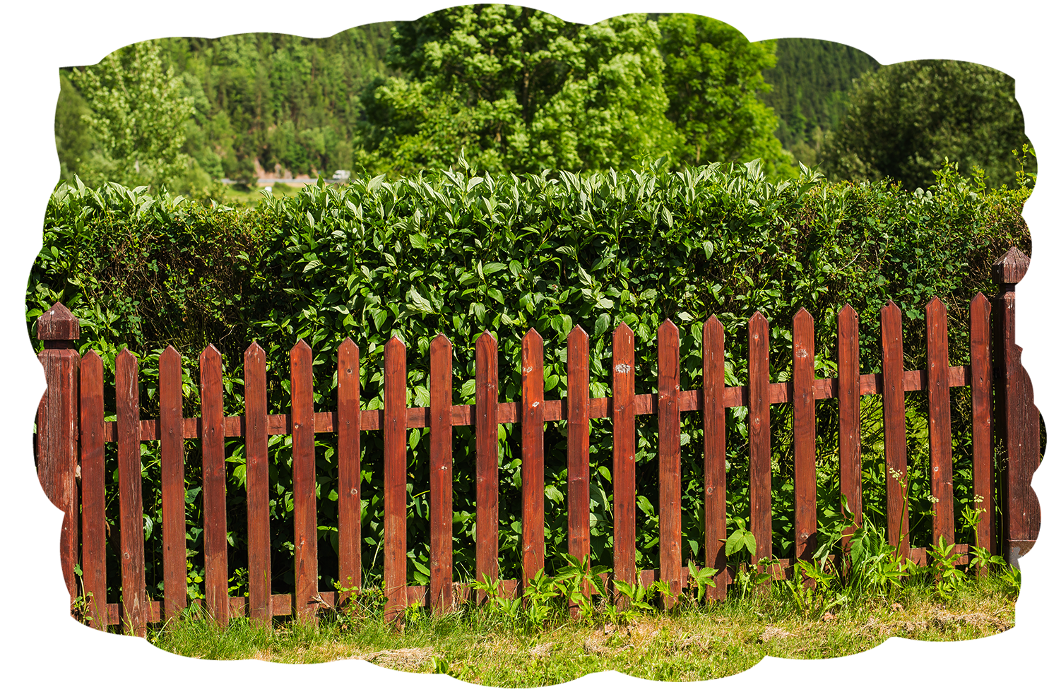 fence for park