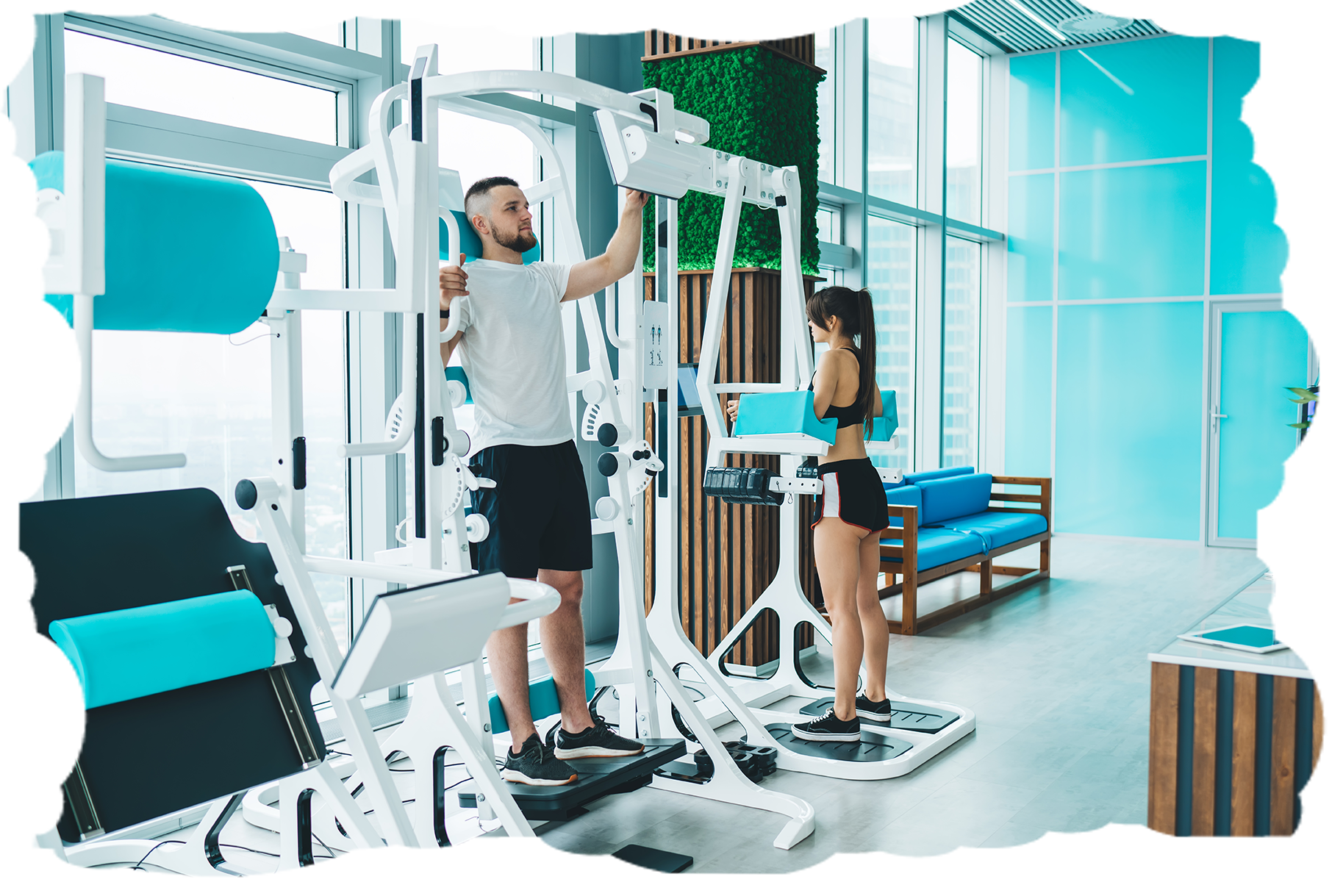 gym & fitness