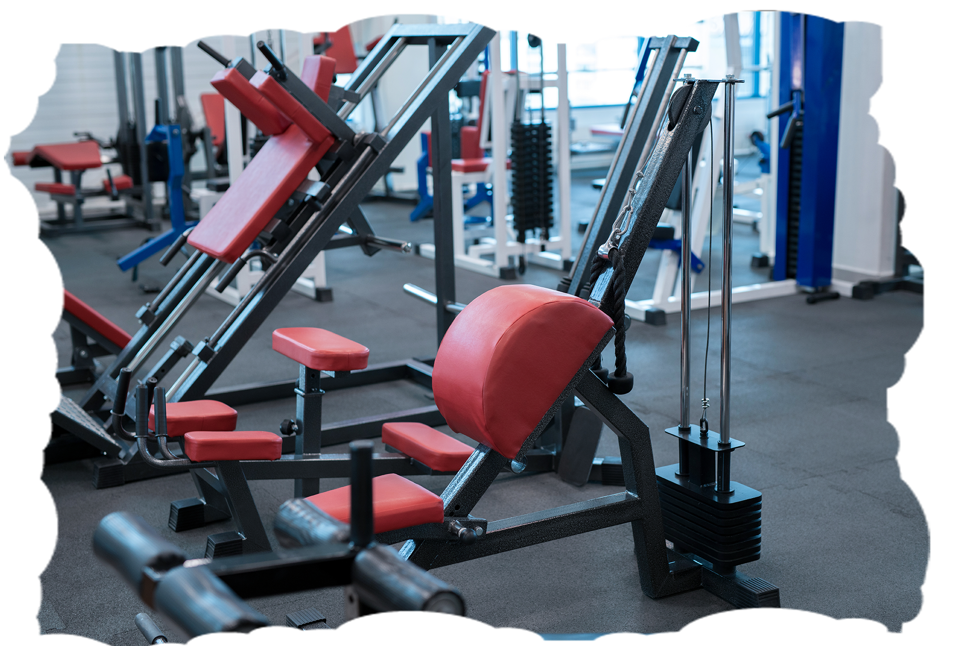 gym interior 2023 11 27 04 51 59 utc