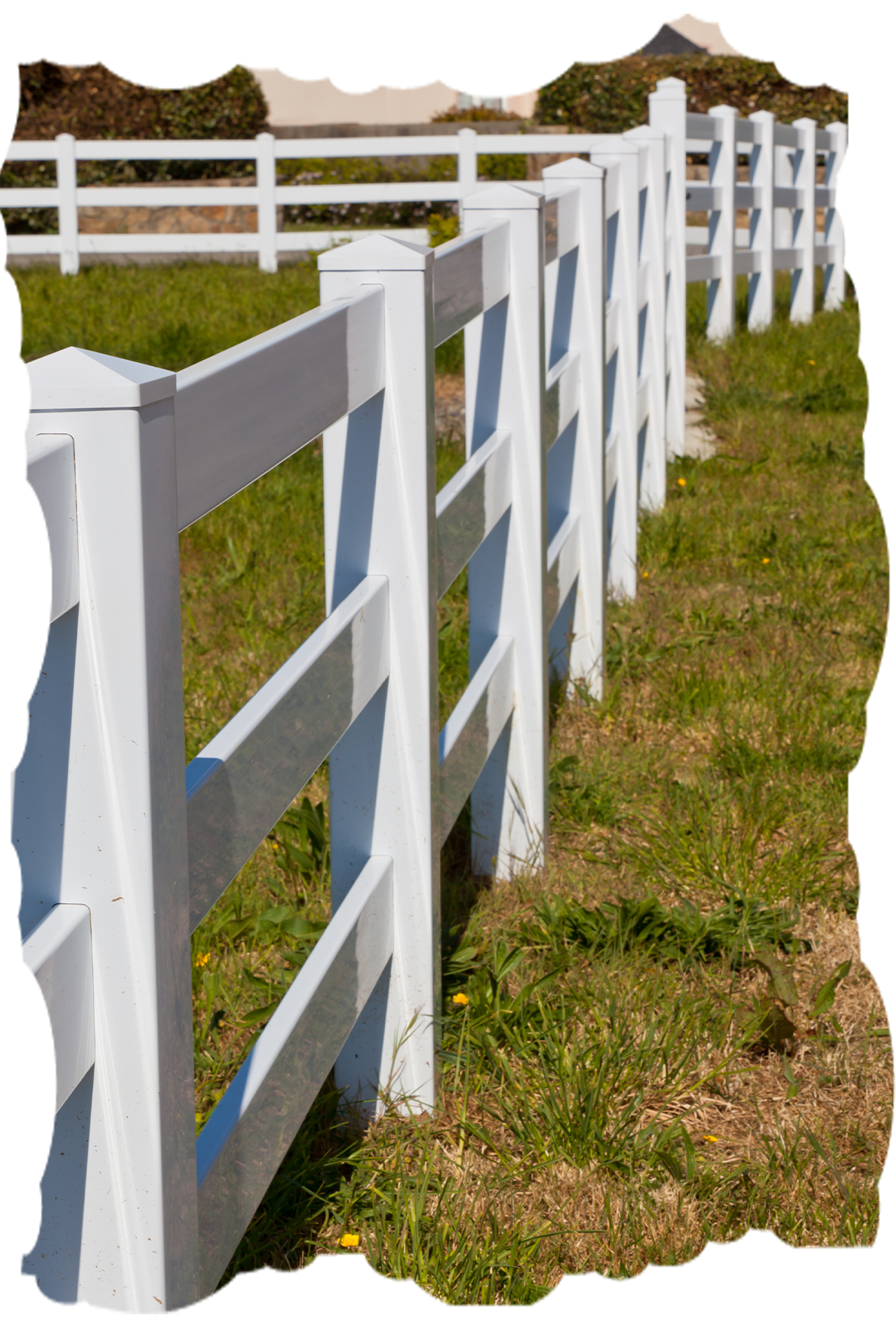 white fences